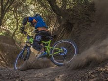 Mountainbiker*in im Wald